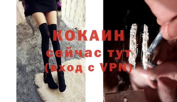 apvp Новозыбков