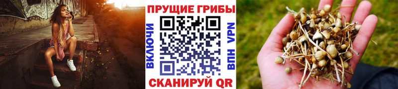 Галлюциногенные грибы мухоморы  закладки  blacksprut ССЫЛКА  Краснодар 