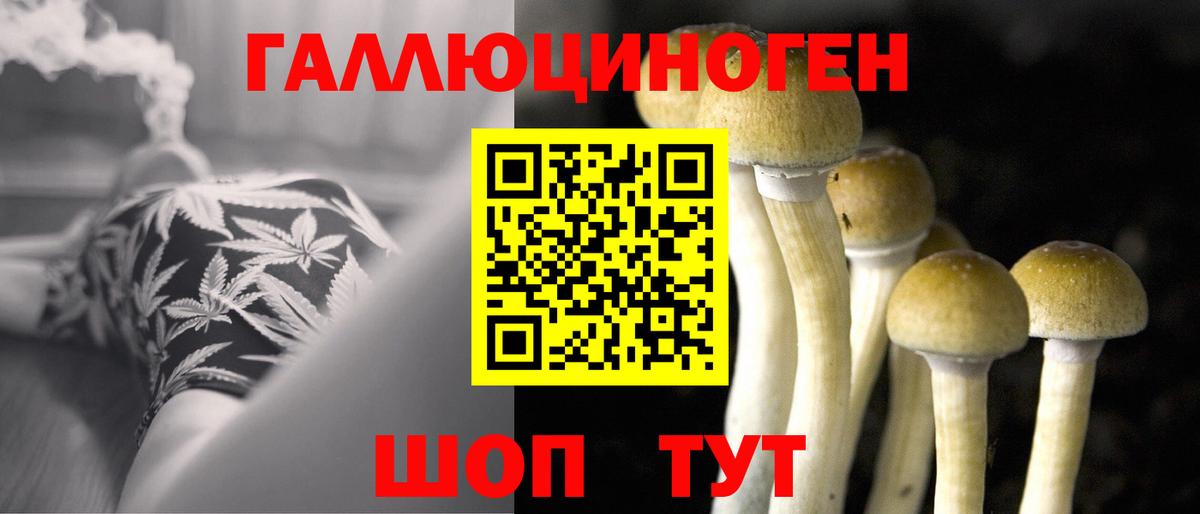 Псилоцибиновые грибы GOLDEN TEACHER  Вход с VPN  цены наркотик  Краснодар 